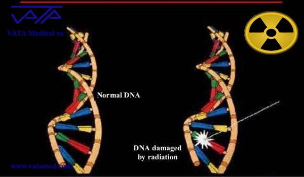 x-ray radiation effects on human DNA